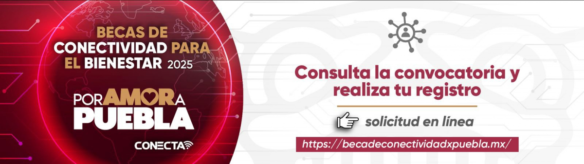 beca conectividad